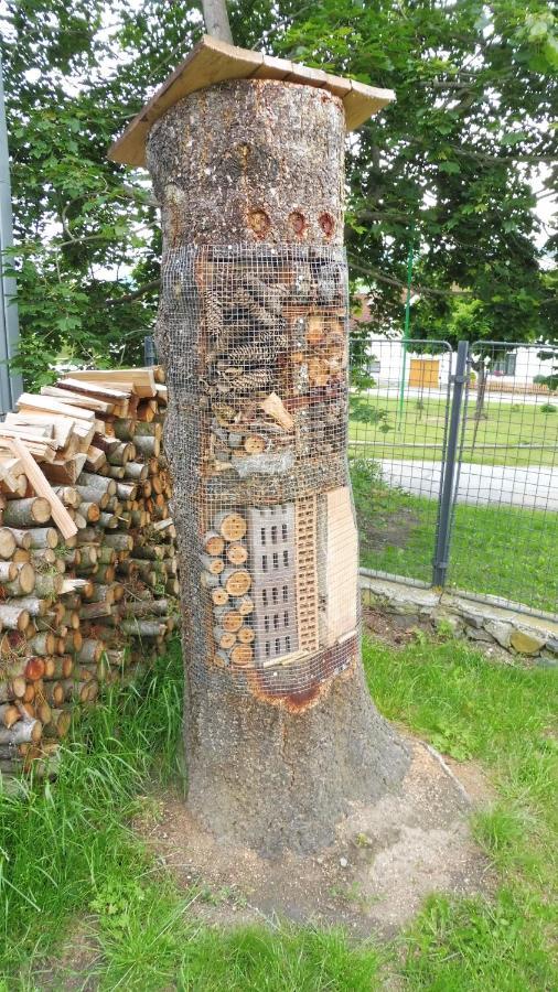 Apartman Bara Český Krumlov المظهر الخارجي الصورة